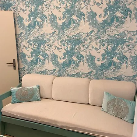 Seashell Caracas 丰沙尔