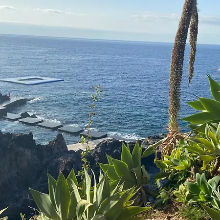 Seashell Caracas アパート フンシャル