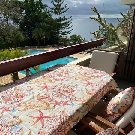 Seashell Caracas Apartment Funchal (Madeira)